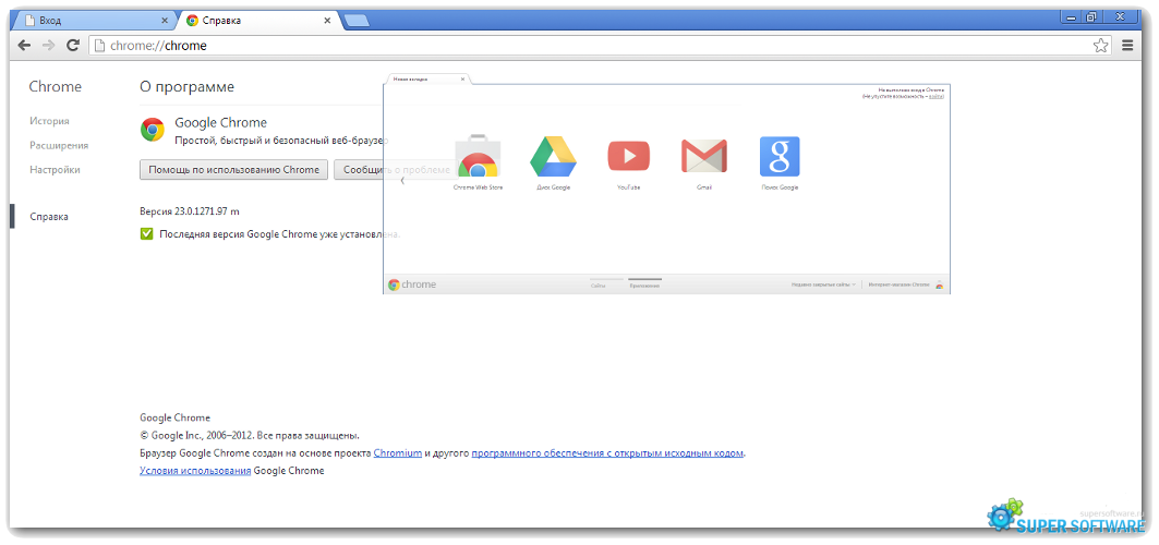 Скриншот Google Chrome