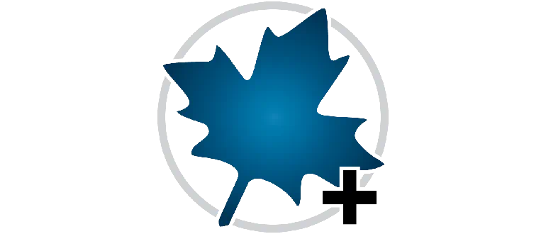 Maplesoft Maple 2023