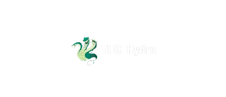 THC Hydra v8.5 ��� Windows